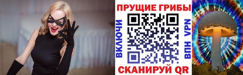 KRAKEN как войти  Починок  Галлюциногенные грибы Psilocybine cubensis 